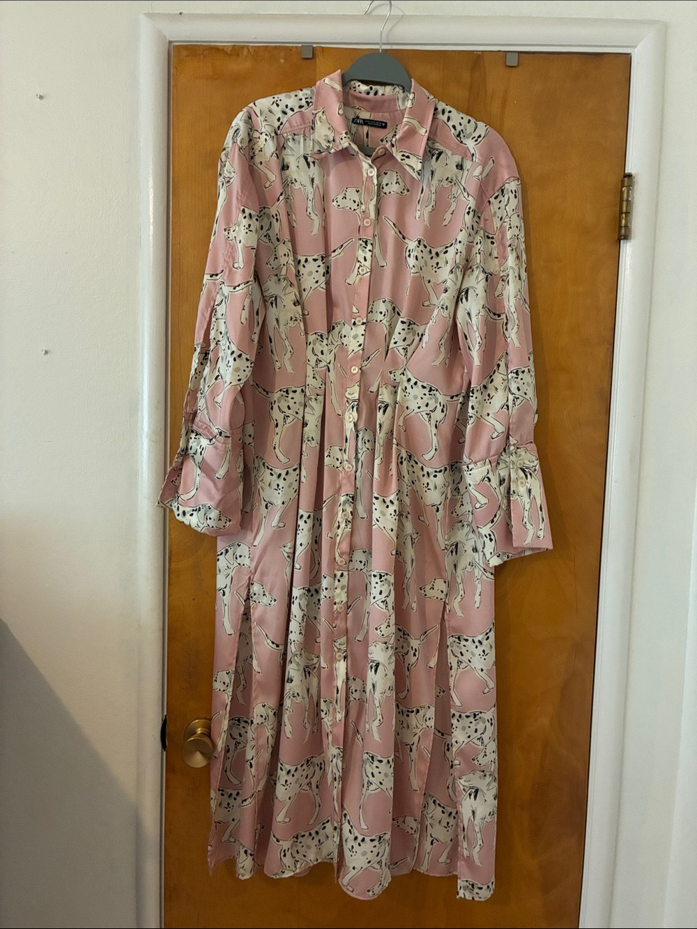 Zara Dalmatian Print Pink Button-Front Maxi Dress